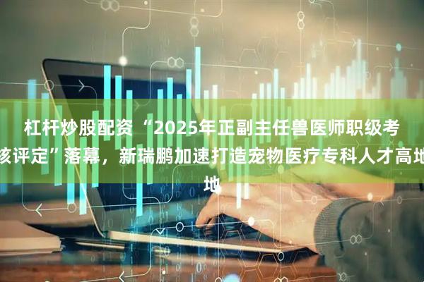 杠杆炒股配资 “2025年正副主任兽医师职级考核评定”落幕，新瑞鹏加速打造宠物医疗专科人才高地