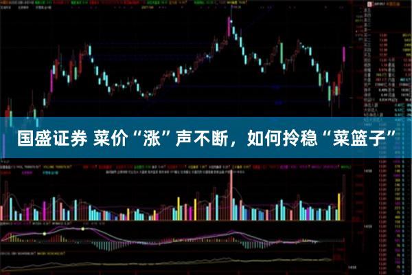 国盛证券 菜价“涨”声不断，如何拎稳“菜篮子”