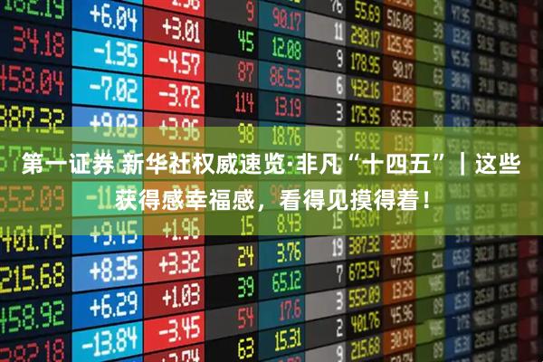 第一证券 新华社权威速览·非凡“十四五”｜这些获得感幸福感，看得见摸得着！
