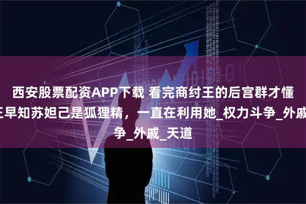 西安股票配资APP下载 看完商纣王的后宫群才懂，纣王早知苏妲己是狐狸精，一直在利用她_权力斗争_外戚_天道