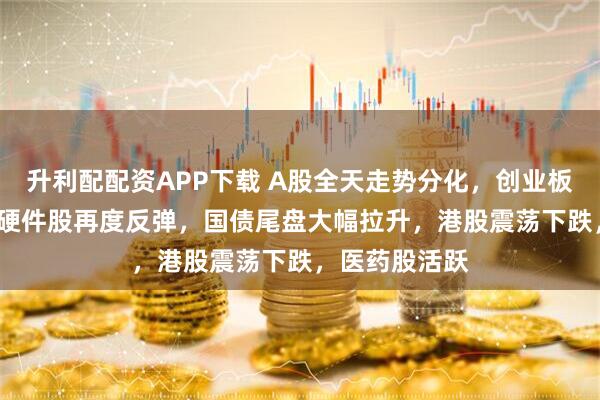 升利配配资APP下载 A股全天走势分化，创业板涨近1%，AI硬件股再度反弹，国债尾盘大幅拉升，港股震荡下跌，医药股活跃